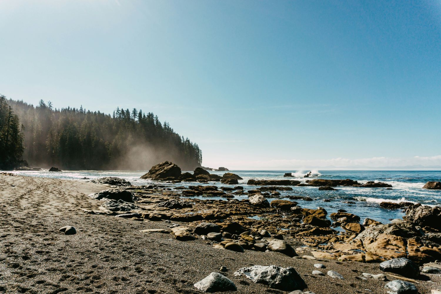 Rocky shoreline with trees