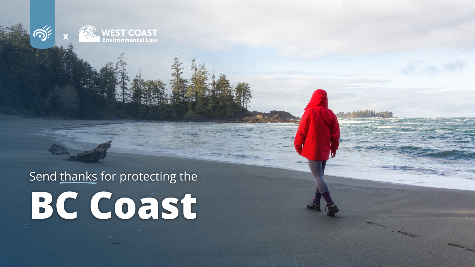 A person walks along a beach with trees and ocean in background