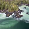 A rocky forest-covered coastline with greenish white waves hitting the shore