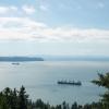 Shipping vessels in the ocean with trees in foreground